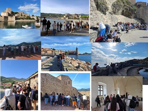 collage collioure.jpg
